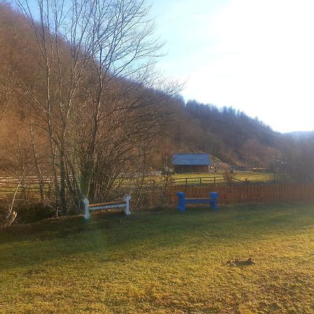 Vikendica Nole Jahorina Villa Pale Exterior photo